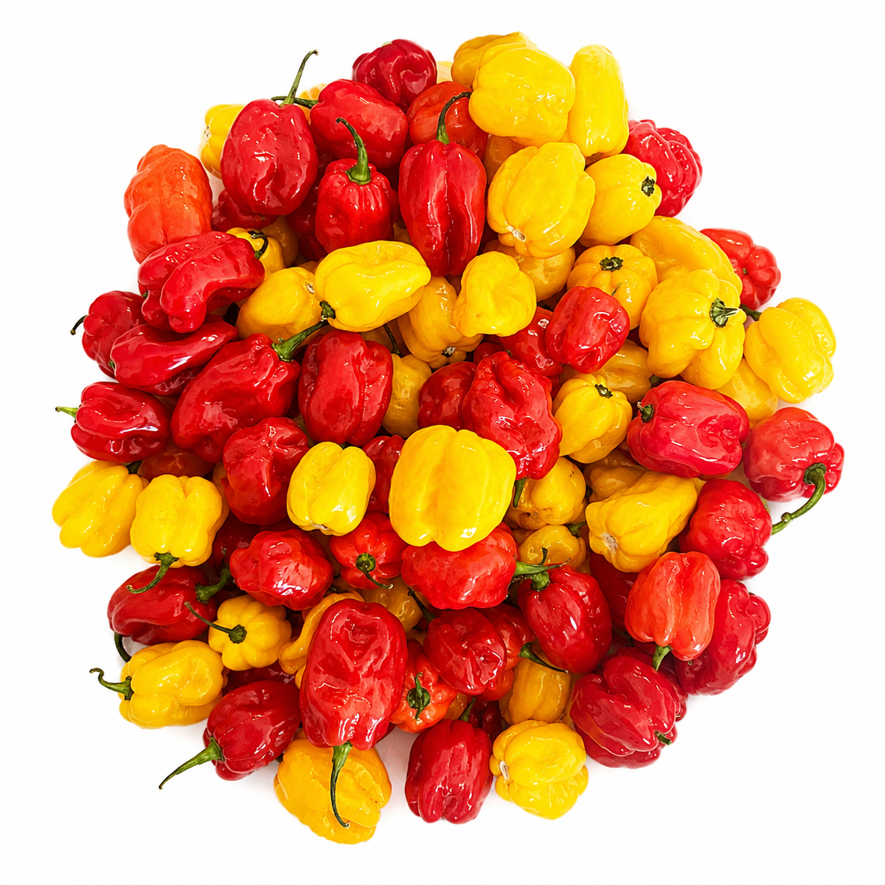 Fresh Habanero Pepper 200g