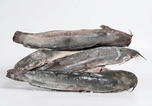 Frozen CATFISH 800g-1kg